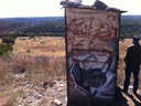 IMG 0263