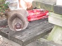 IMG 1125